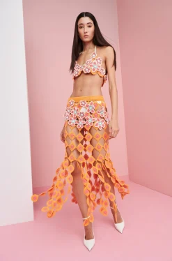 Dandelion Top><noscript><img width=